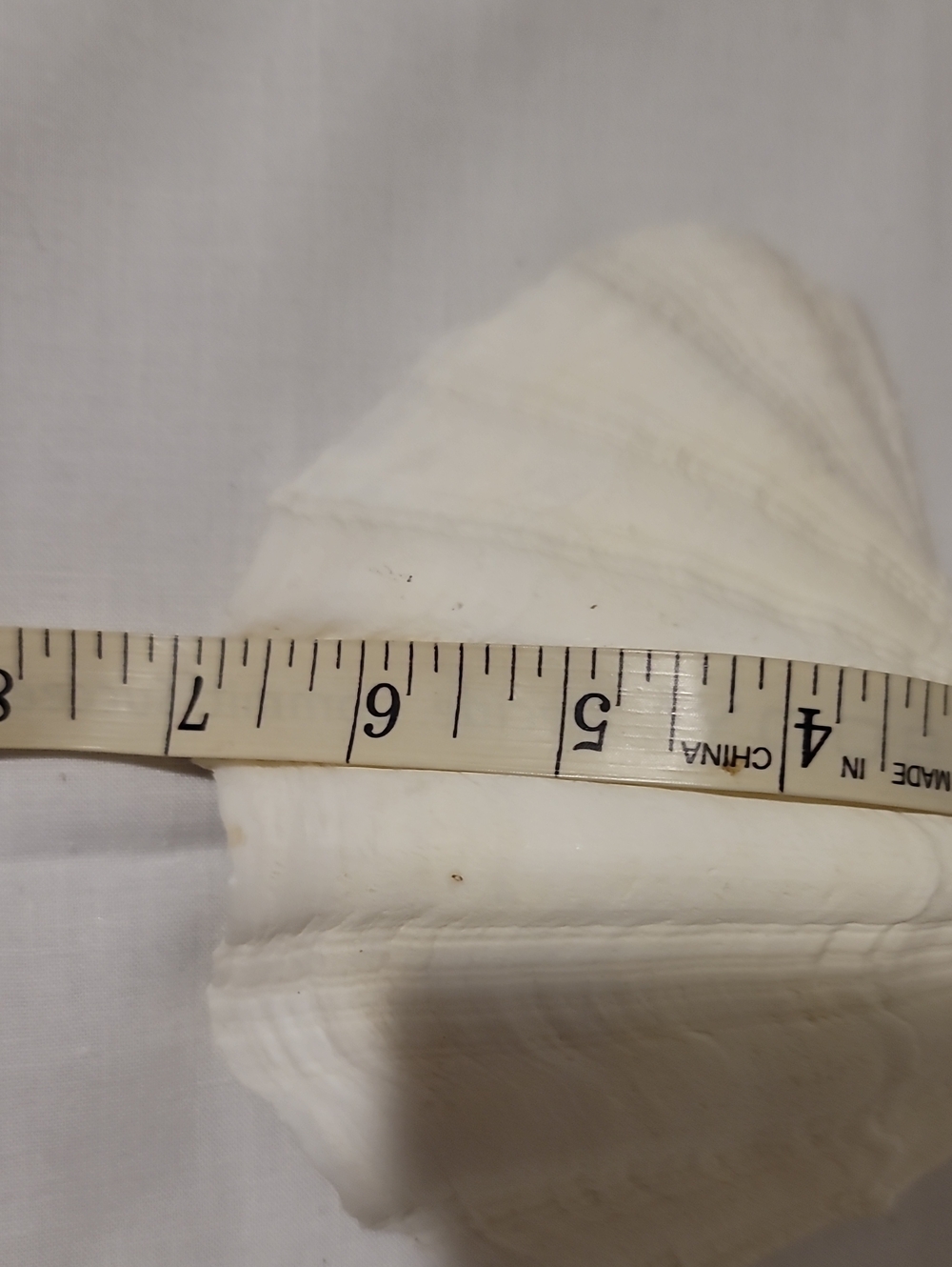 Handcrafted Trinket Shell - Picture 8 of 8